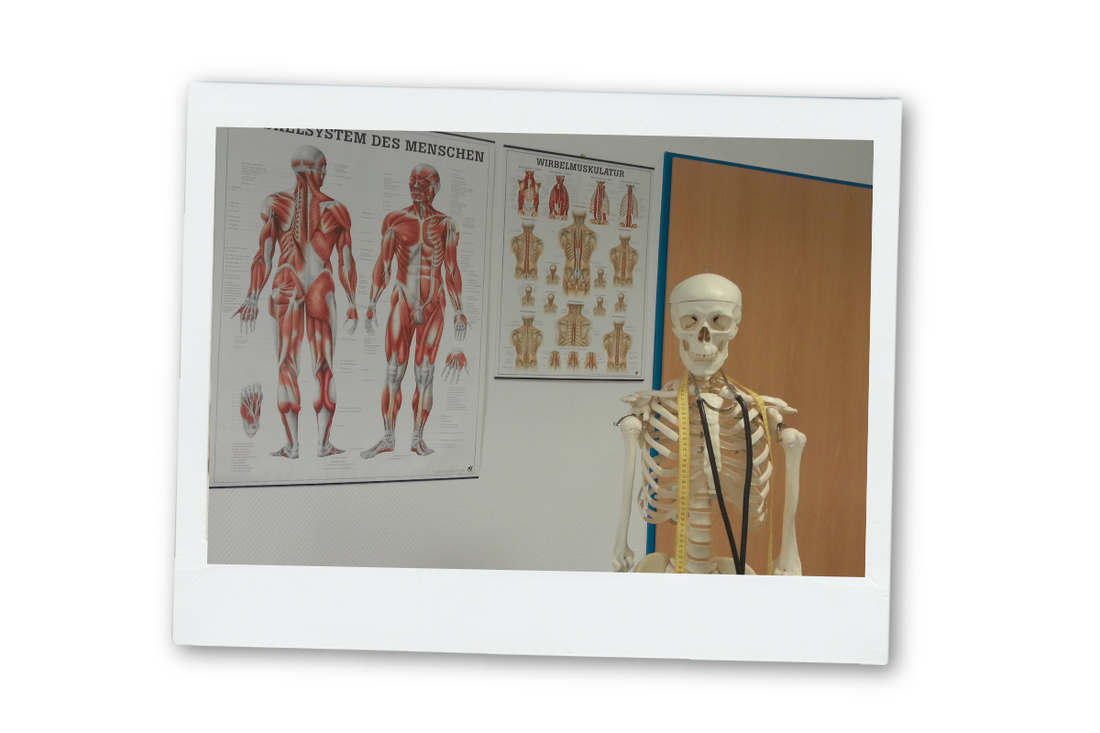 BODY CONSCIOUSNESS - Understanding & Befriending Your Marvelous Meat Machine