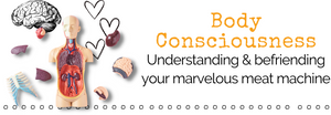 BODY CONSCIOUSNESS - Understanding & Befriending Your Marvelous Meat Machine