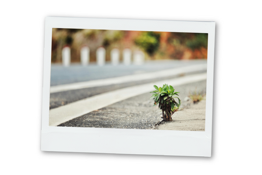 Simple Steps For Building Resilience
